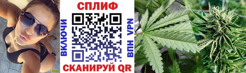 Какие есть наркотики Выборг КОКАИН Псилоцибиновые грибы A PVP ТГК Гашиш Конопля