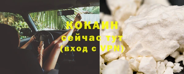 гашик Бородино