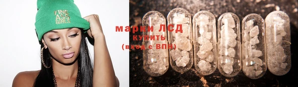 гашик Бородино