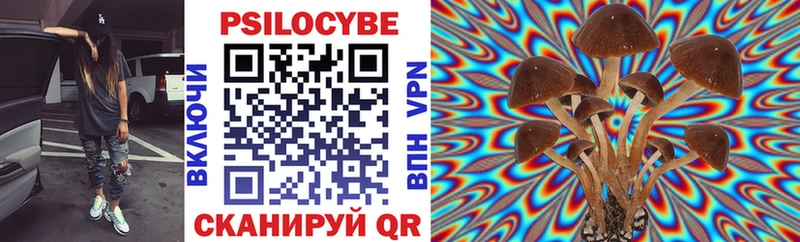 Галлюциногенные грибы GOLDEN TEACHER  Выборг 